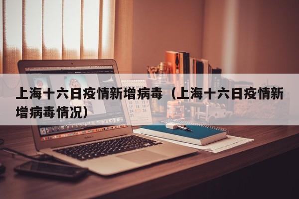 上海十六日疫情新增病毒（上海十六日疫情新增病毒情况）