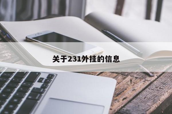 关于231外挂的信息